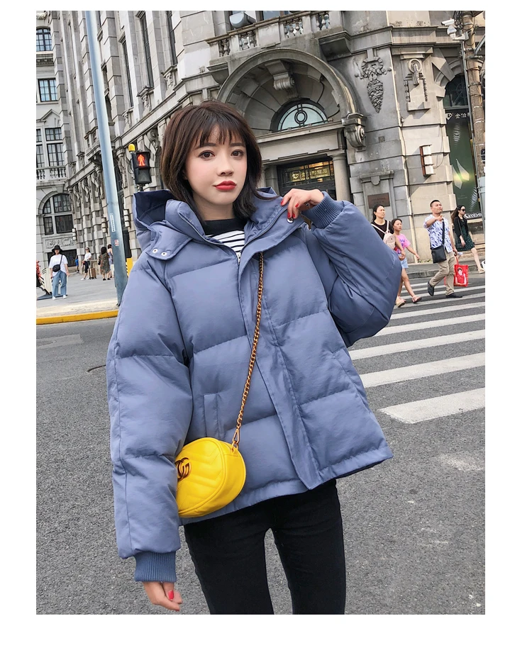 Korean-style CHIC Hooded down Coat Women's Winter New Style Fashion Loose Slimming Slim Fit Versatile Short Cotton-padded C