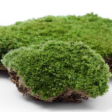 Консервированные высушенных настоящих дикий коврик со мхом мха газон для DIY микро Ландшафтный Террариум Сад бонсай горшок для украшения Консервированные высушенных настоящих дикий коврик со мхом мха газон для DIY микро Ландшафтный Террариум Сад бонсай горшок для украшения