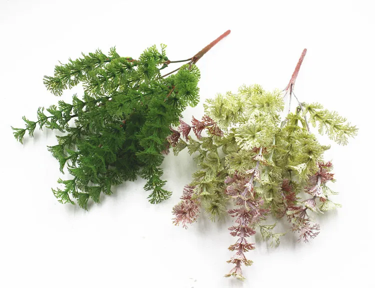 11897116239_1338463617