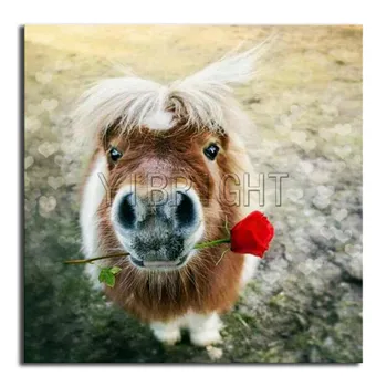 

DIY Diamond painting Lovely Horse Full Square Diamond embroidery Cross stitch Flower Rose Full Round Diamond mosaic scenic