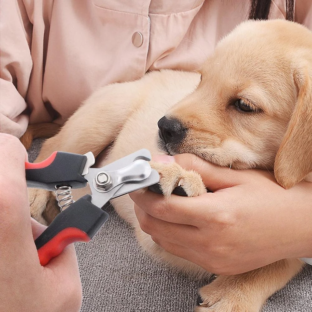 dog nail cutter for sale