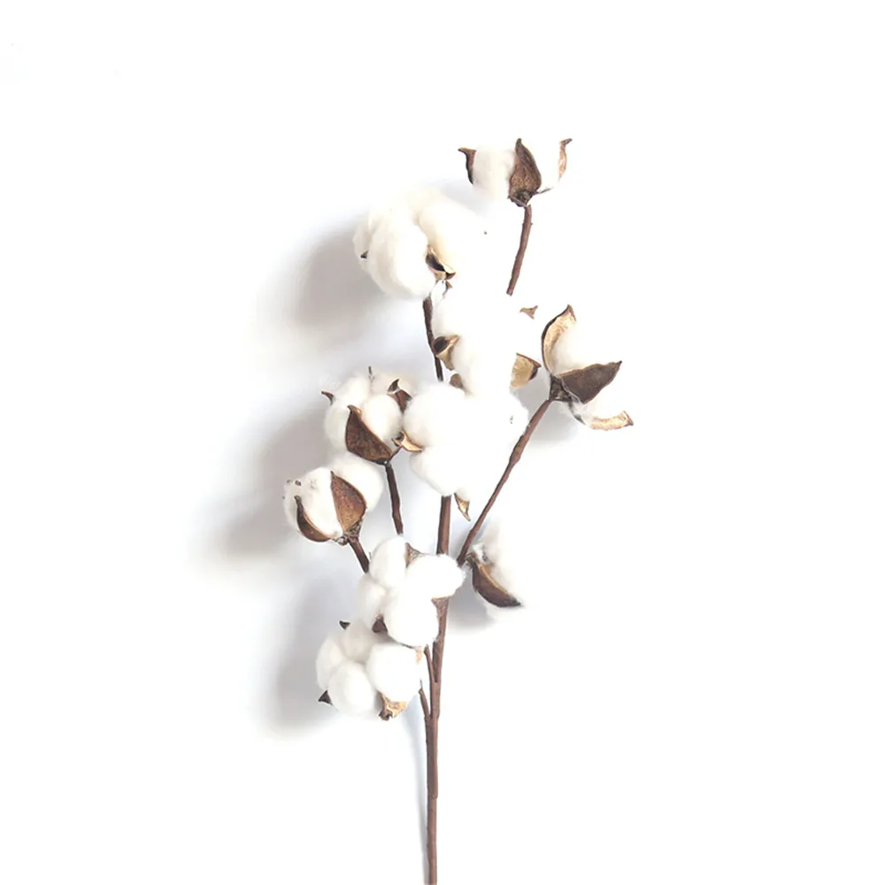 Tiges de fleurs séchées en coton naturel, 10 boules par tige, pics de fleurs  artificielles pour ferme | AliExpress