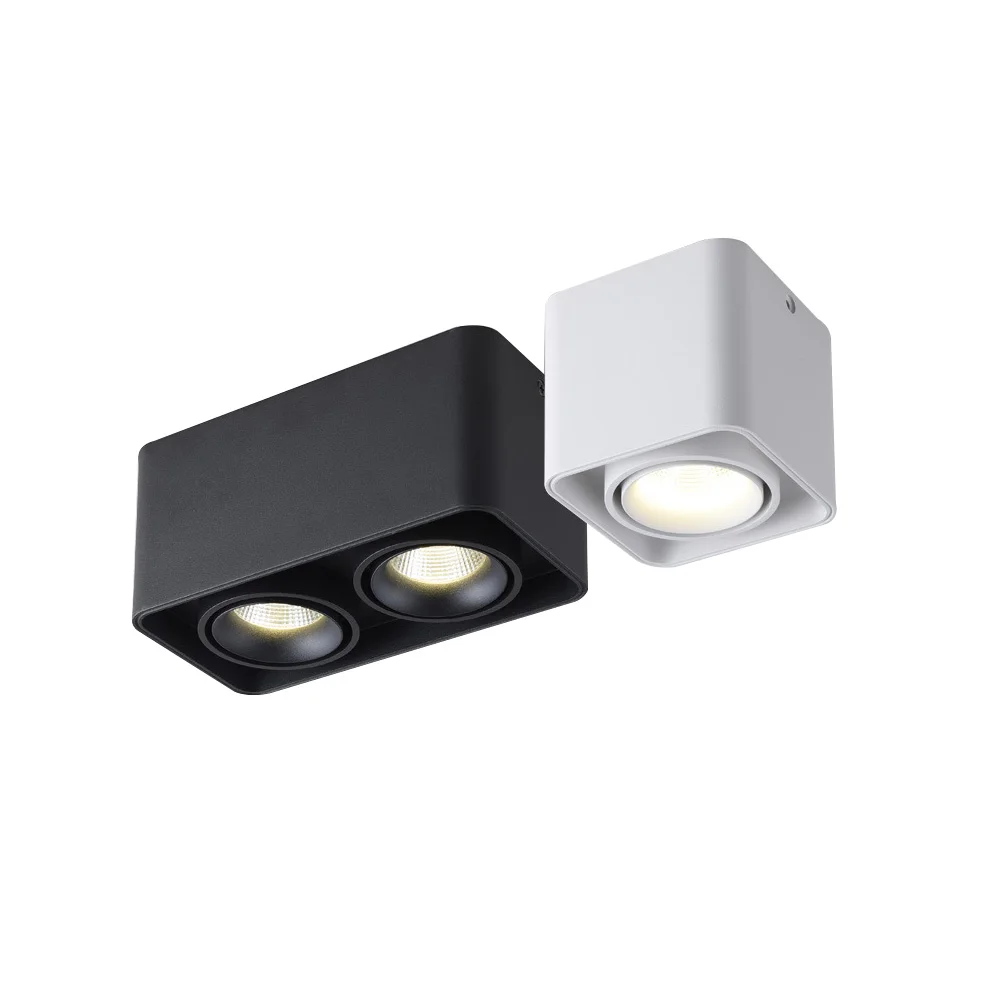 Downlight