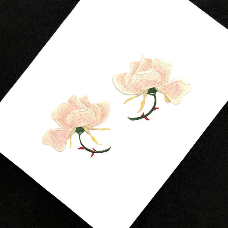 12288583900_892375017_副本