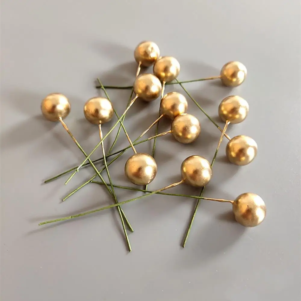 Декоративные искусственные фрукты декоративные сухие цветы Рождественское