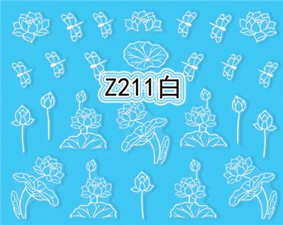 Z211 