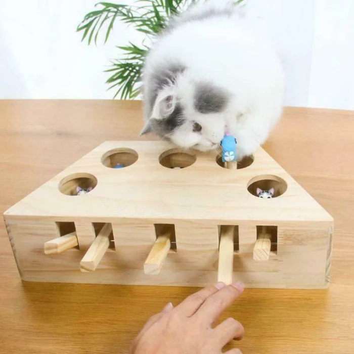 Whack Mole mouse Cat игрушка для упражнений, твердая деревянная коробка-головоломка с 3/5 отверстиями, игрушки для домашних животных OCT998