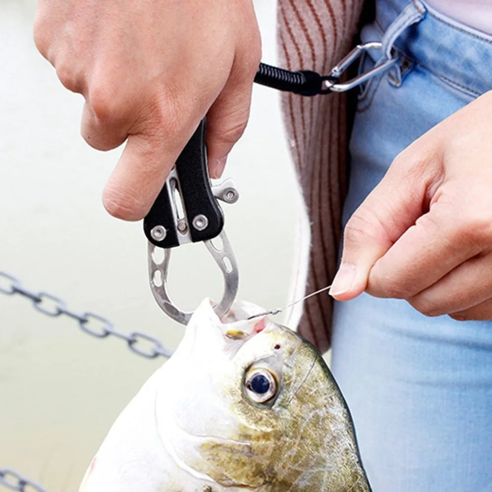 WJ495701-C-20102906-1