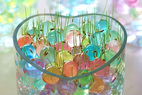 386416-IMG_2662-embed[1]