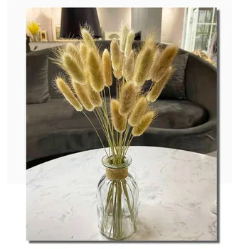 

50pcs Dried Natural Flower Bouquets Rabbit Tail Grass Flowers for Home Wedding Decoration Raw Color Lagurus Ovatus Bouquets