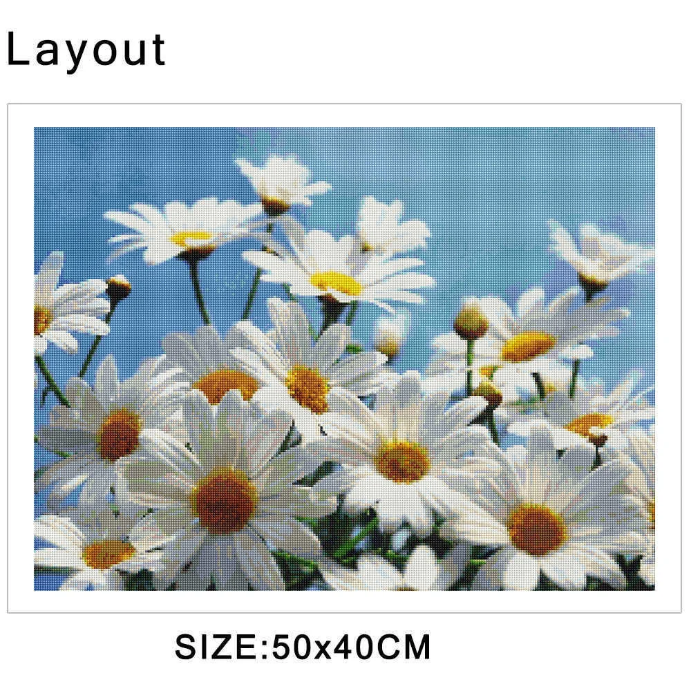 8 (5).jpg_.webp 8 (5).jpg_.webp