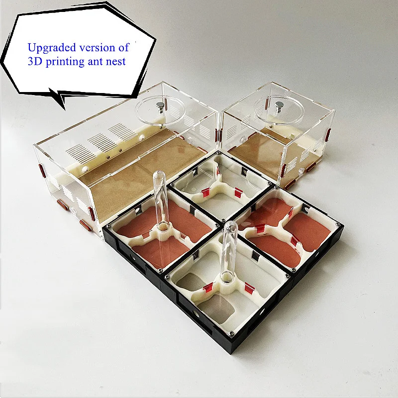 Trailblazers Infinitely Expand The Ant Nest Flat Ant Nest Acrylic Ant Nest 3D Printing Ant Nest