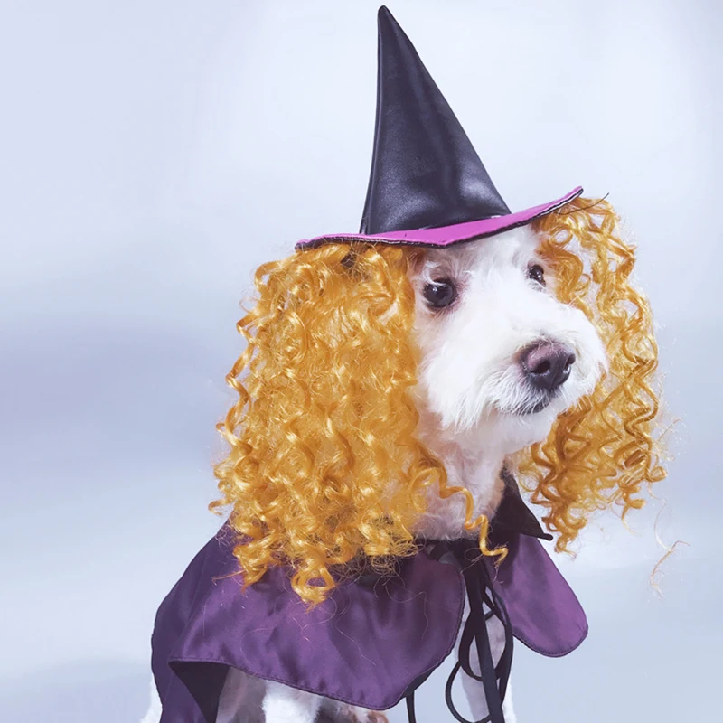 Забавный костюм мага для домашних животных на Хеллоуин, легкая одежда для собак, платье для трансформации ведьмы, фиолетовое платье-накидка для домашних животных