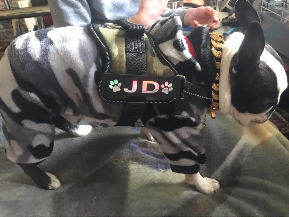 U956cb09b839a42348ab692fd71b6921aR