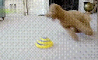 Звучащий диск Woof Glider мягкий и безопасный домашний питомец для собак, играющая игрушка для домашних животных, уникальные интерактивные развлекательные игрушки, игрушка для собак, эхолот