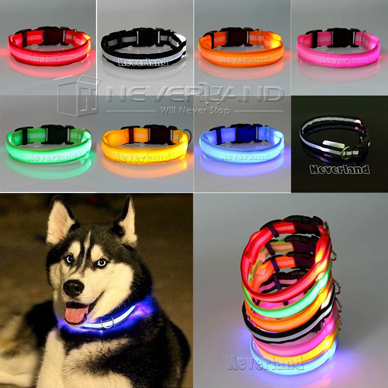 dog collars that light up at night