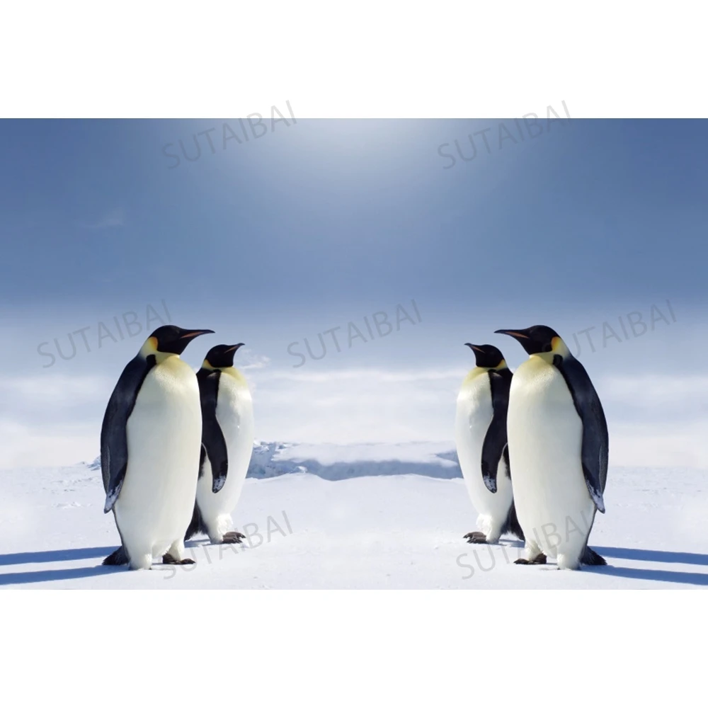5x7ft Vinyl Penguin Family Background Lovely Penguins Endless Ice and Snow for The Antarctic Landscape Photography Background Wildlife Photography Props LY242 for Party Decoration Birthday YouTube Vid 5x7ft Vinyl Penguin Family Background Lovely Penguins Endless Ice and Snow for The Antarctic Landscape Photography Background Wildlife Photography Props LY242 for Party Decoration Birthday YouTube Vid