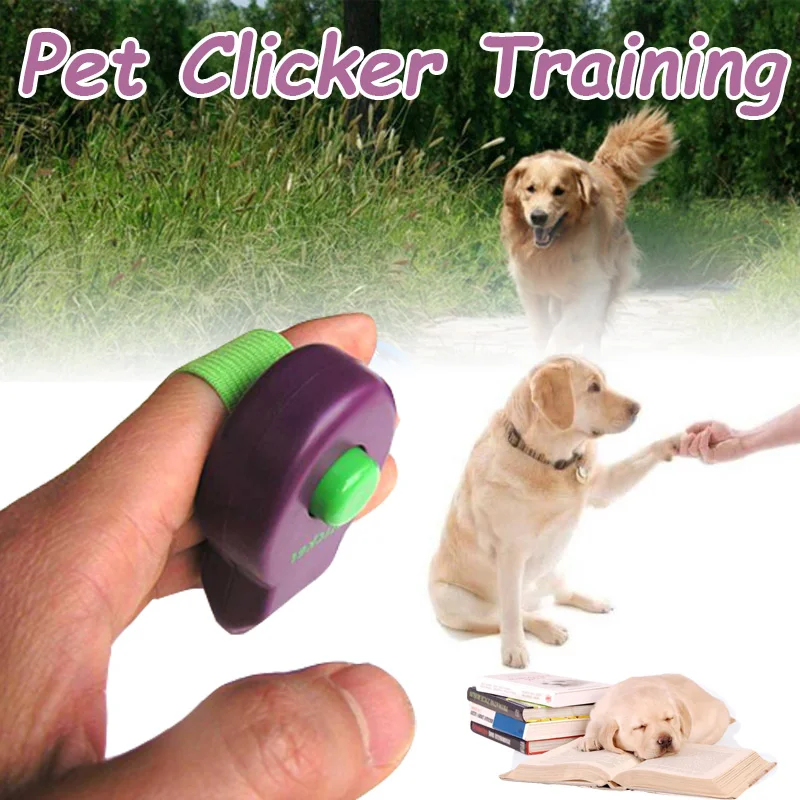 Suministros de Entrenamiento de mascotas para entrenamiento canino, suministros de pargo de sonido con clic, sonda de entrenamiento, guía de sonido duradera