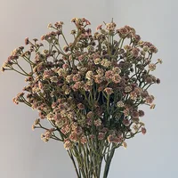 62CM/pc 81 High Quality Small Flowers Autumn Color Feel Soft Rubber Gypsophila Dry Flower 6 Color PVC Bouquet Home Garden Decor 3