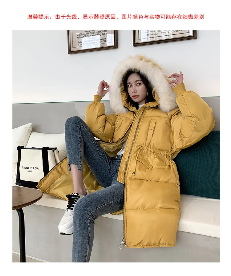 Cotton_13.jpg