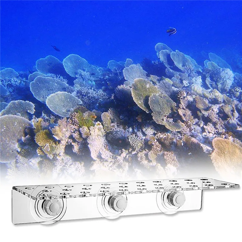 

Transparent Marine Acrylic Aquarium Coral Racks Bracket Holder Live Fish Tank Ornament Suction Cups Pet Fish Accessories