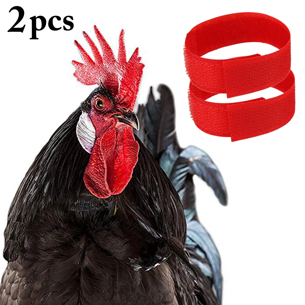 2PCS Rooster Collar Anti-hook Anti Crow Collar Chicken Collar No
