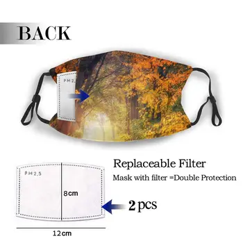 

protective mask with filter Autumn anti dust PM2.5 reuse adult teen child girl