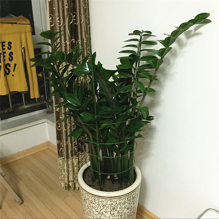 TB2bifUgFXXXXXRXpXXXXXXXXXX_!!0-rate