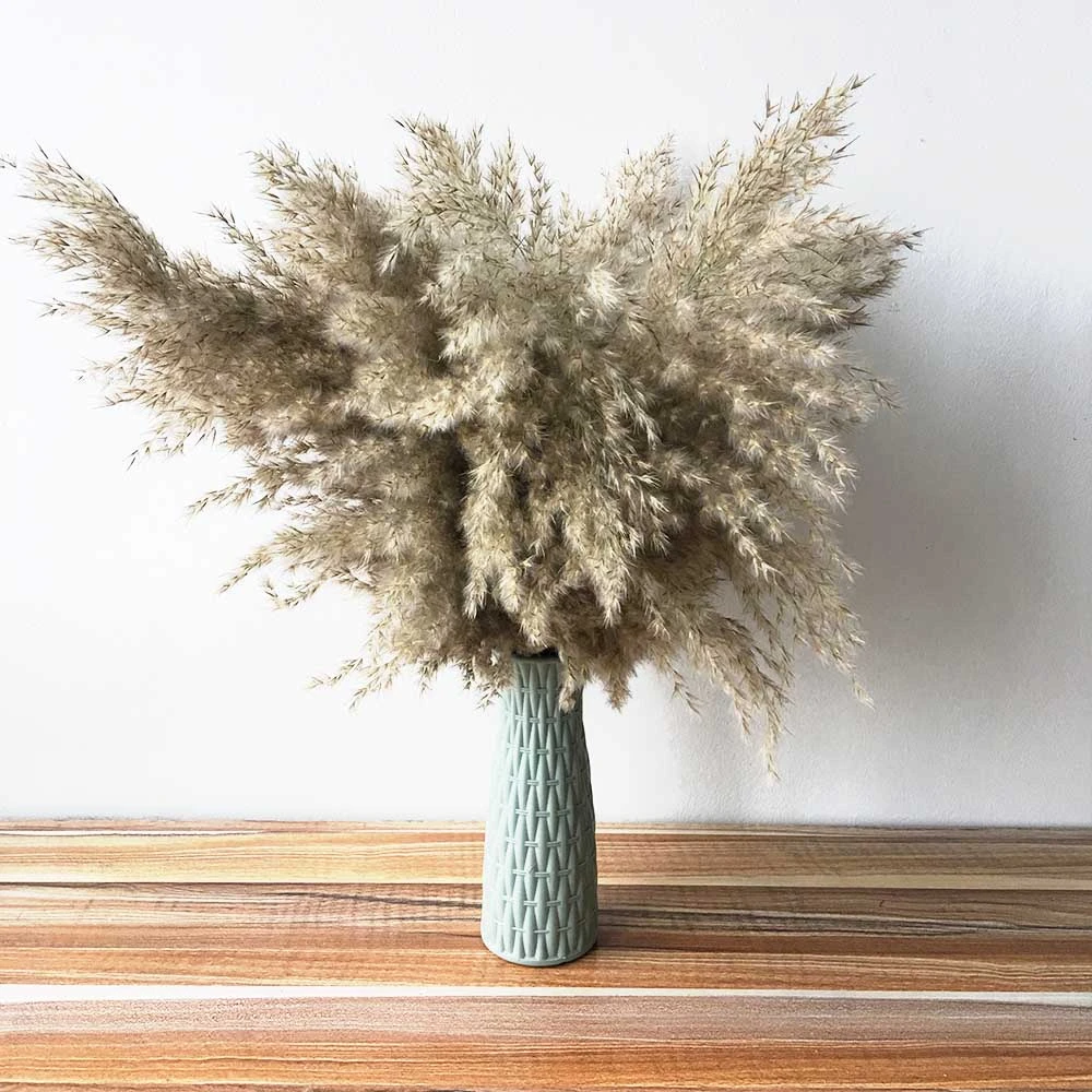 10pcs Beautiful Natural Pampas Grass Dried Flower Matching Plastic Vase For Wedding Stage Decoration Natural Dried Bouquet Artificial Dried Flowers Aliexpress