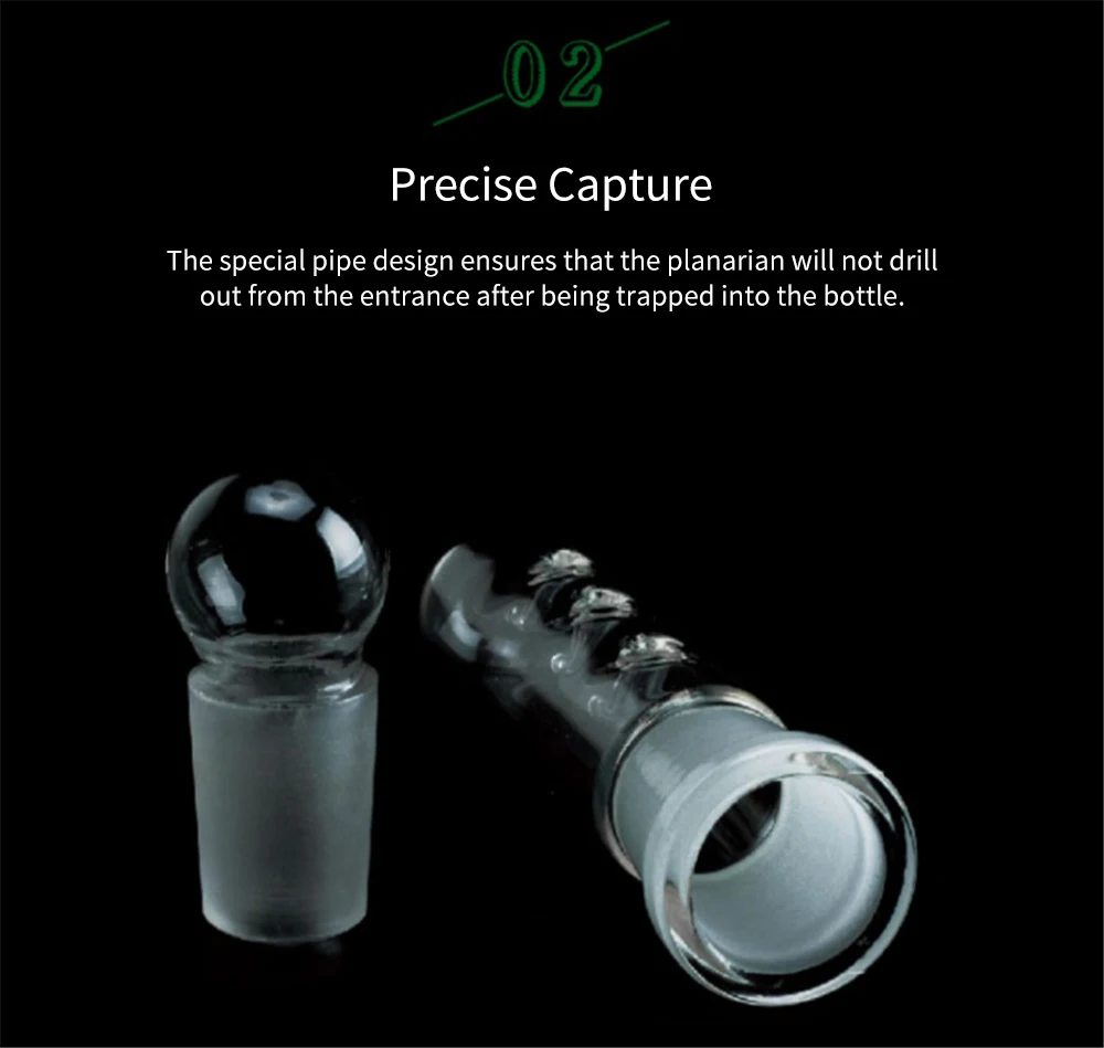 Aquarium Planaria Trap FIsh Tank Clear Glass Catch Trap for Cherry Shrimp Crystal Red Shrimp Dwarf Shrimp Flat Worms Leeches