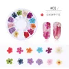 1 Box 3D Dried Flower Nail Decoration Natural Floral Sticker Mixed Dry Flower DIY Nail Art Decals Jewelry UV Gel Polish Manicure ► Photo 3/6