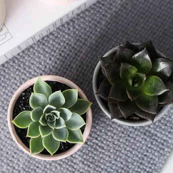 

6 Pcs Marble Grain Flower Pot Cylinder Succulent Pot Colored Ceramic Decorations Plants Succulent Potted Holder for Home Garden
