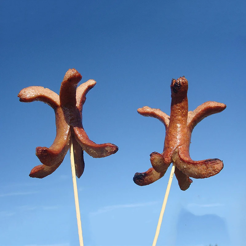 large bbq skewers  (2)