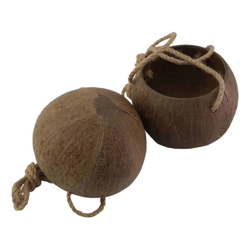 

Classical Coconut Shell Succulent Planter Pot Bonsai Flowerpot Planters for Succulents Hanging Pots for Plants Hang Plant Pot