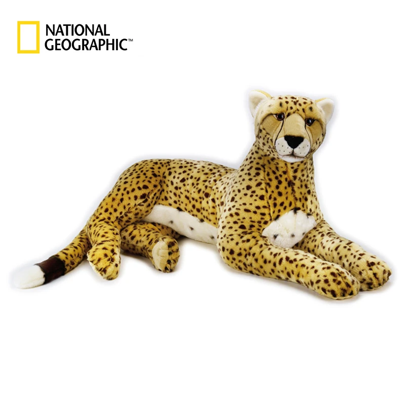 national geographic animal sets