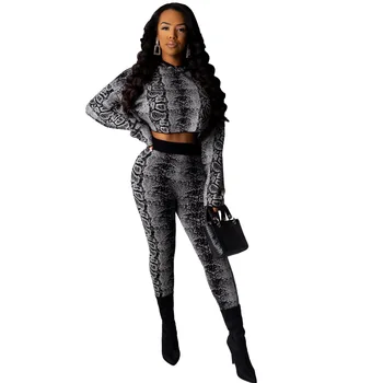 

Autumn Winter Women Two Piece Set Top and Pants Plus Size Tracksuit Sweatsuit Outfit Snake Print Hoodie Pants Active Outfits