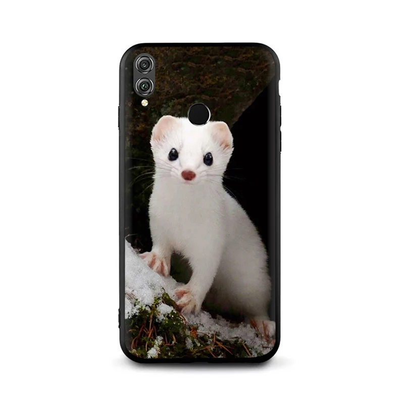 B12 Ferret Ermine Мягкий силиконовый чехол для телефона для Huawei Honor 6a 7A Pro 9 10 Lite 7X 8X 8C - Цвет: B12