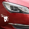 Exterior Accessories
