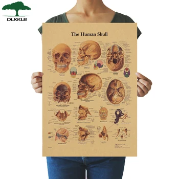 

DLKKLB The Skeleton of The Body Structure Nervous System Poster Bar Home Decor Retro Kraft Paper Wall Sticker 41.5x30.5cm