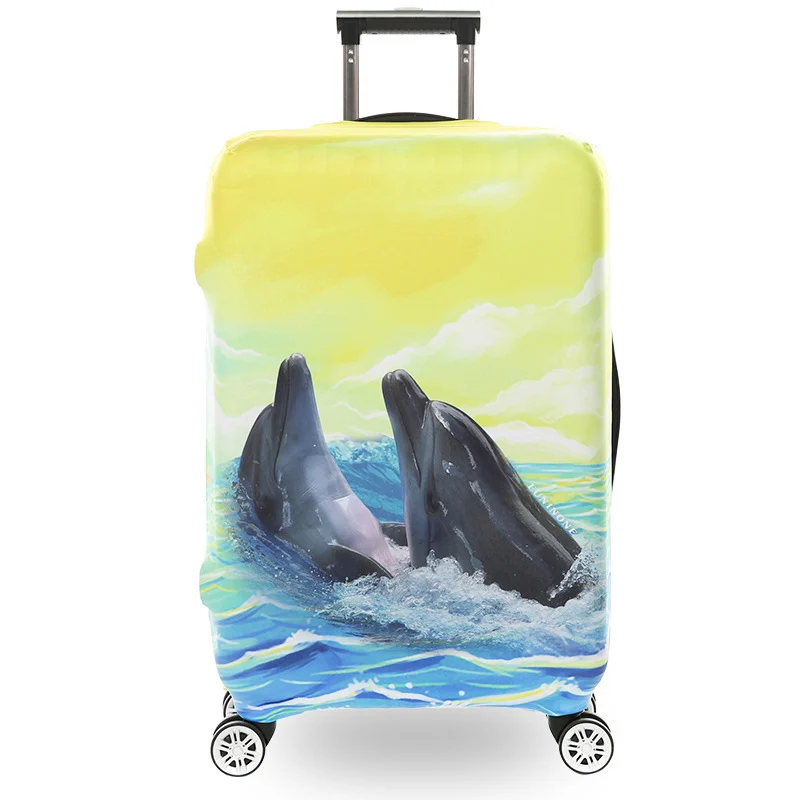 4242708180_322839970