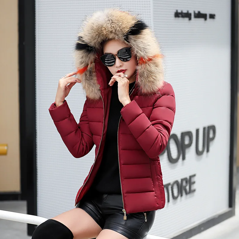 

Cotton Coat 2018 Winter New Style WOMEN'S Cotton Padded Clothing Women's Short Large Fur Collar Slim Fit Cotton-padded Jacket do