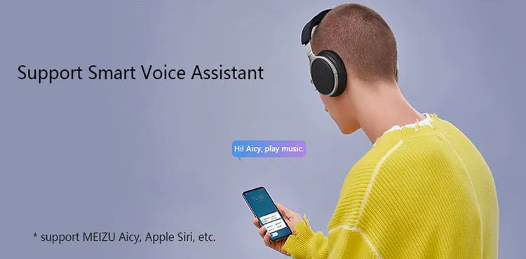 Meizu hd60 беспроводные наушники Bluetooth 5,0 type-c зарядка 40 мм CVC шумоподавление наушники сенсорные наушники Apt-X