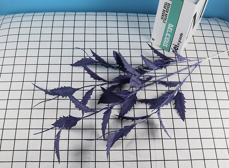 14177554469_1773055378