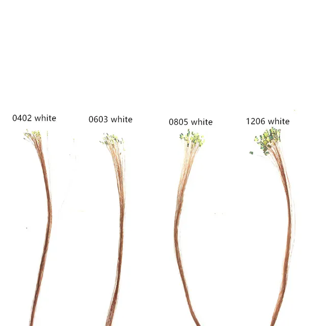 49002-27c94b.jpg