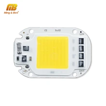 LED COB Lamp Chip 20W 30W 50W AC 110V 220V Smart IC Beads For DIY Grow Floodlight Bulb Day White Cold Warm