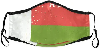 

Distressed Madagascar Flag Face Mask Washable Anti Dust Mask with 4PCS 5Layers Filters for Bicycle, Cycling,Sports