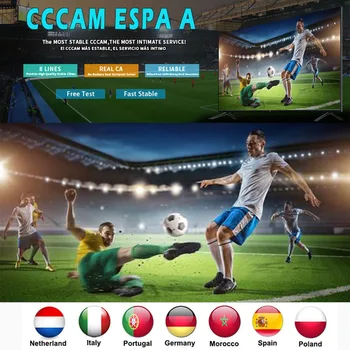 

Europe Cccam ESPA A 8 line HD TV osccam stable Spain Portugal Germany Netherlands Italy server 1 year satellite TV receiver