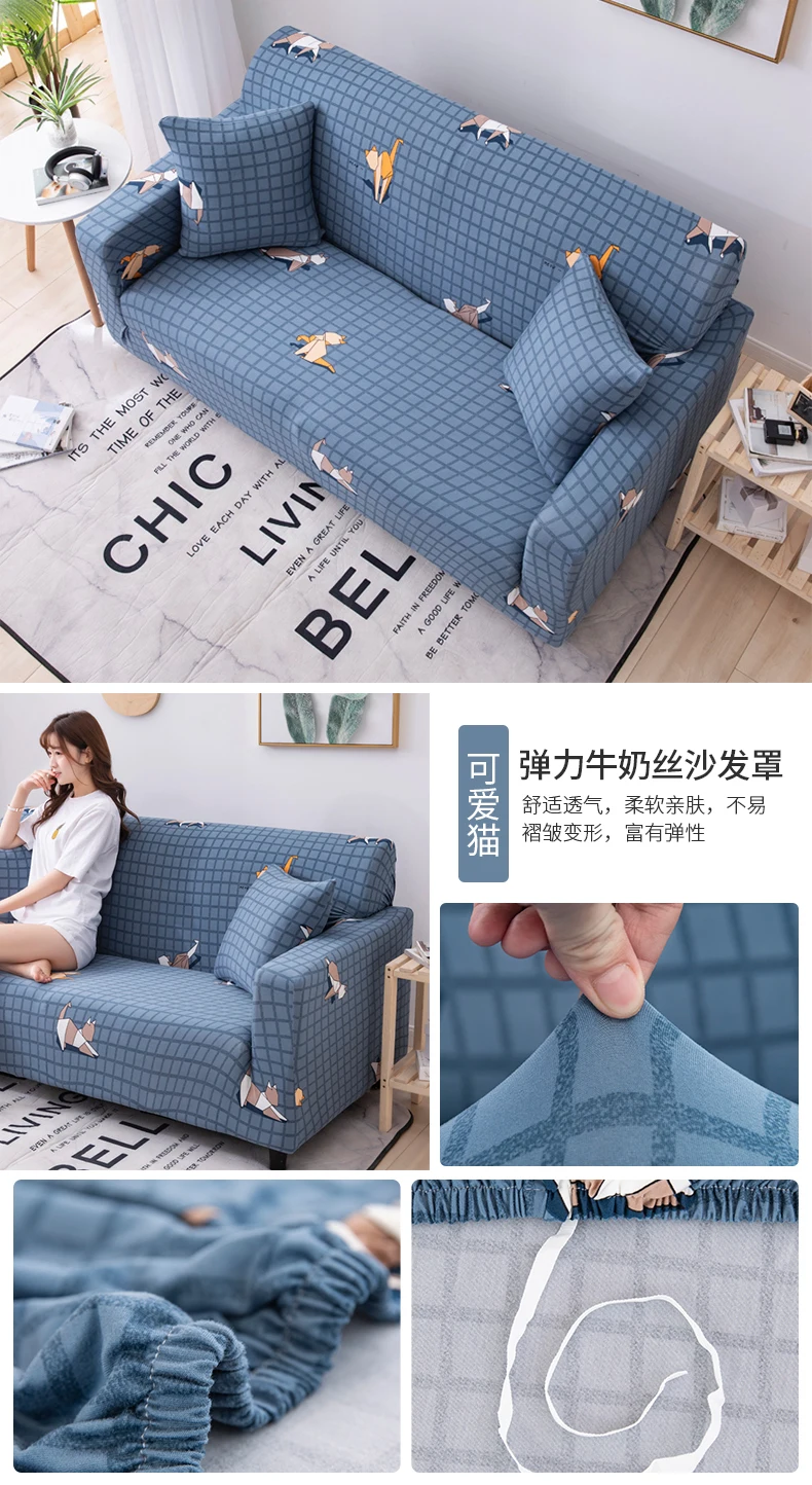 可爱猫