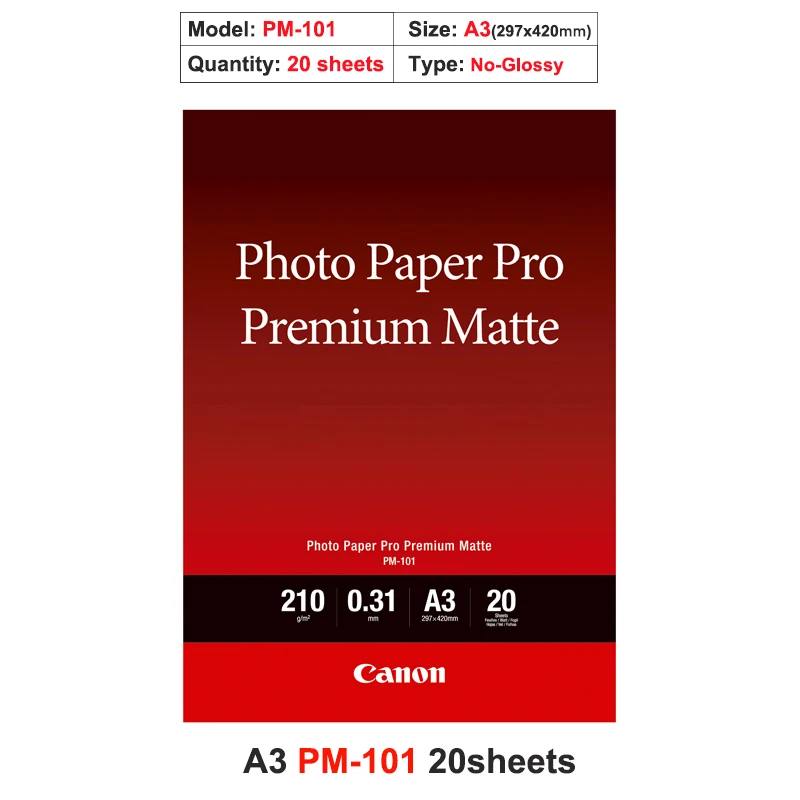 PM101