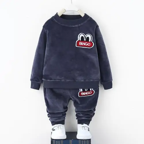 Gray eyes New Spring Children Toddler Clothing Baby Boys Girl Clothes Suit Kid Sports Hooded Sweater Pants 2pcs/Sets Infant Tracksuit - Цвет: Gray eyes